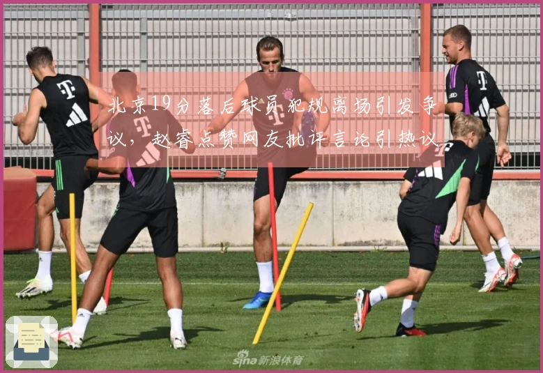 北京19分落后球员犯规离场引发争议，赵睿点赞网友批评言论引热议